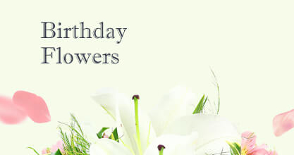 Birthday Flowers Collier Row